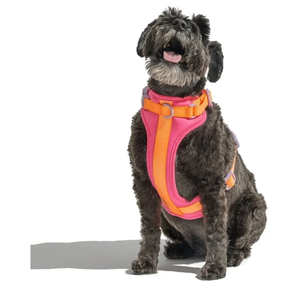 Wild One Limited Edition Dog Harness
